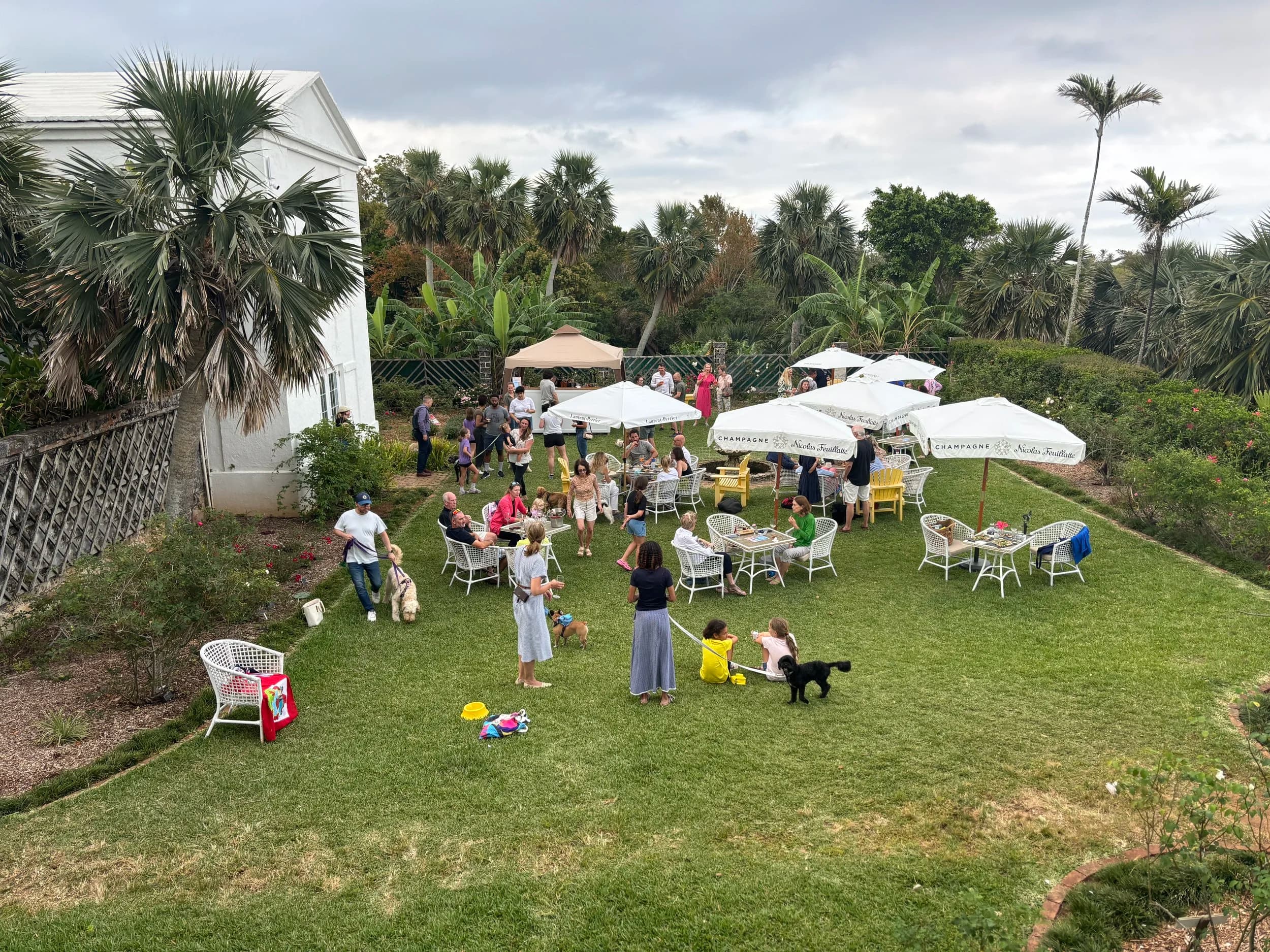 YAPPY HOUR - HOWLOWEEN
