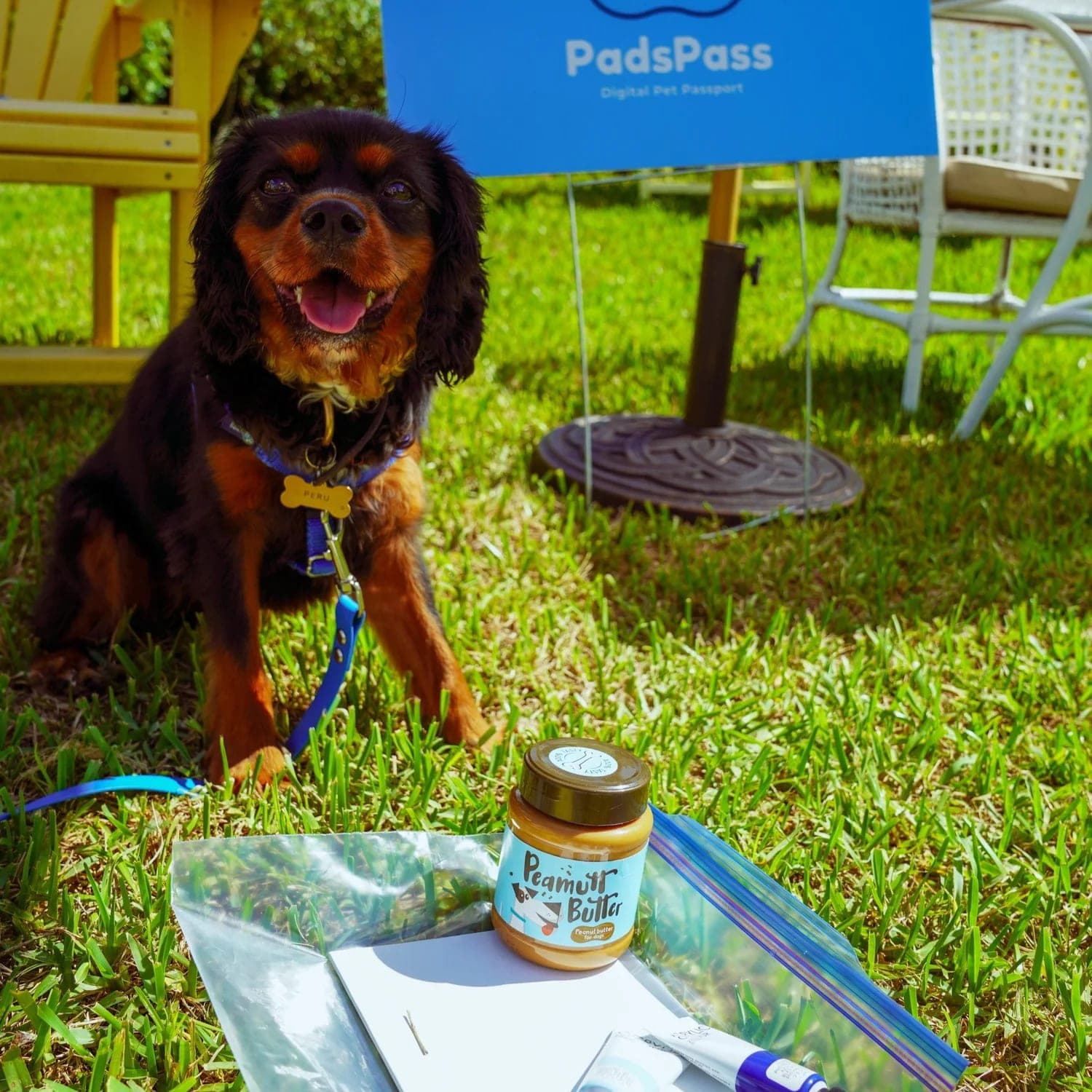 YAPPY HOUR - PUPmatch